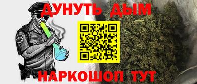 сатива Братск